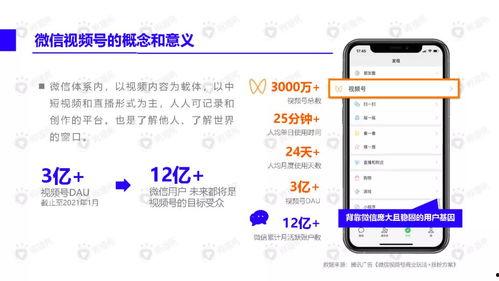 吃瓜小哥網(wǎng)紅視頻下載安裝,輕松獲取熱門內(nèi)容