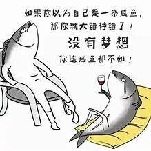 網(wǎng)紅咸魚搶閑置,一場閑置物品的狂歡盛宴